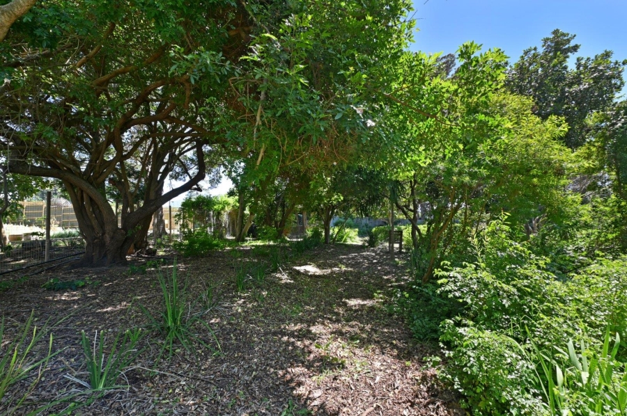 3 Bedroom Property for Sale in Constantia Western Cape